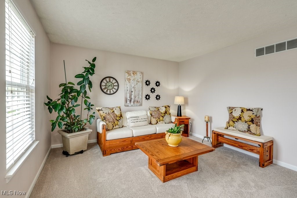 790 Chauncey Lane, Kent, Ohio image 18