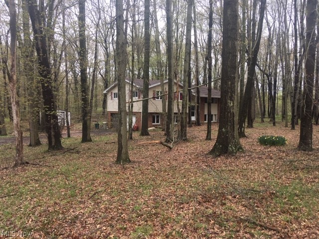 Newton Falls - Residential