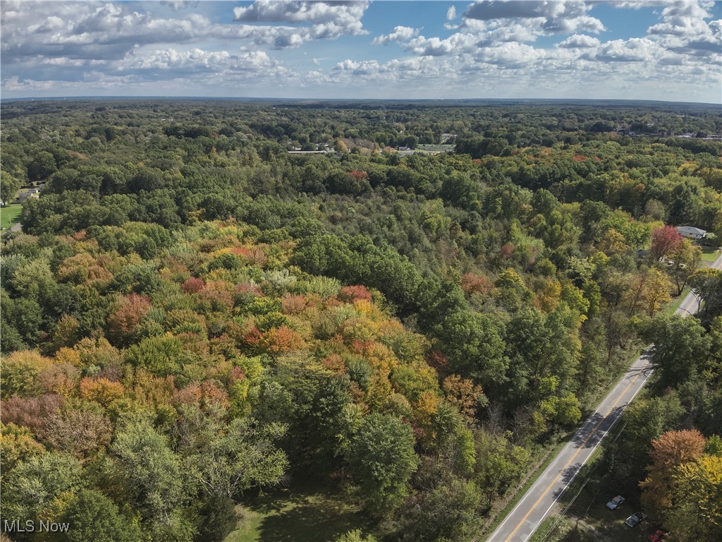 Newton Falls Portage Road, Newton Falls, Ohio image 4