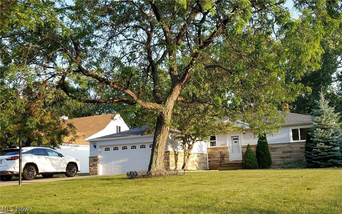 This beautiful ranch in the desirable neighborhood of Lyndhurst is situated on a lot surrounded by trees and landscaping offering a serene atmosphere in the fenced in backyard. The house has an open floor plan which gives it a modern look, 3 bedrooms +one in the finished basement, 1 1/2 baths. The house is freshly painted and has new flooring installed throughout the house. The dining room features french doors to the spacious 3 season sun room with almost 400 sq ft, creating endless options for entertaining, and a lovely scenic view. The kitchen allows for plenty of storage, and counter space. The basement is clean and dry and has a spacious entertainment room with a built in bar. there is another finished room which can be used as a 4th bedroom or recreation room/ exercise room and it has a Cedar closet. The garage and the floor were painted also.This home is close to schools, shopping, dining, and the many amenities Lyndhurst and neighboring Beachwood has to offer. This well-maintai