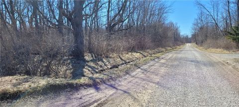 Vacant Land For Sale - Clay Road<br/> Ashtabula County, Jefferson, OH 44032
