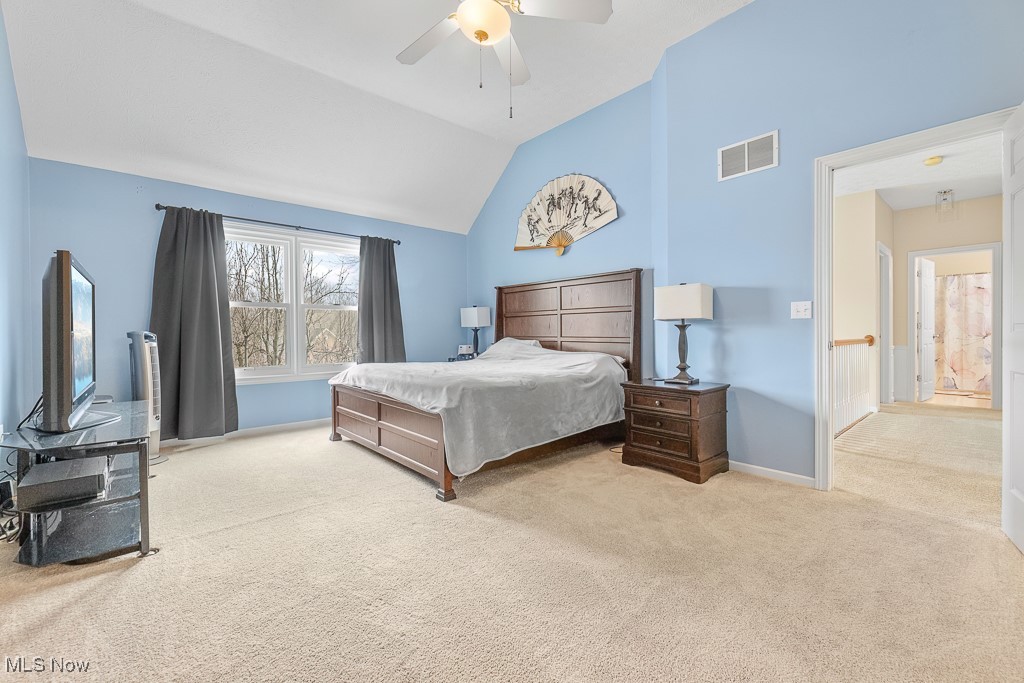 3194 Oakwood Trail, Broadview Heights, Ohio image 21