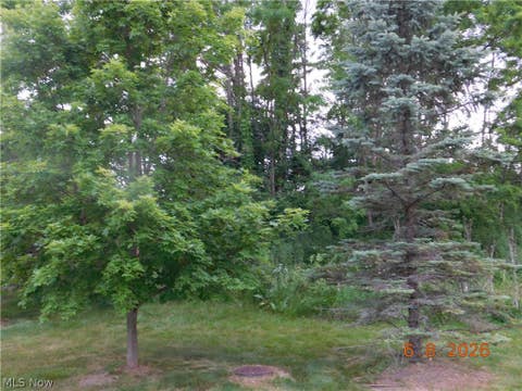 Tiny photo for 29026 Pembrooke Boulevard, Olmsted Falls, OH 44138 (MLS # 5221688)