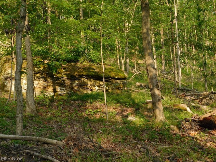 Affordable recreational property located in the Walhonding River Valley. Property contains 24 wooded acres with an abundance of deer sign. The land lies on the western slope facing towards the river with crop fields in between and has good young timber with the majority being white oak. There is a walking easement on the property leading on a 1 acre undisturbed memorial site.