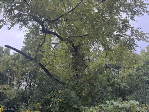 Vacant Land For Sale - V/L Miltonsburg-calais Road<br/> Monroe County, Woodsfield, OH 43793