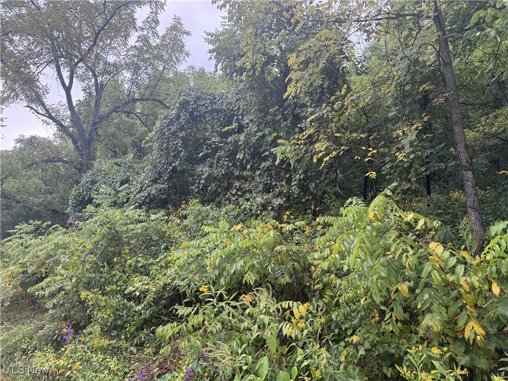 V/L Miltonsburg-Calais Road