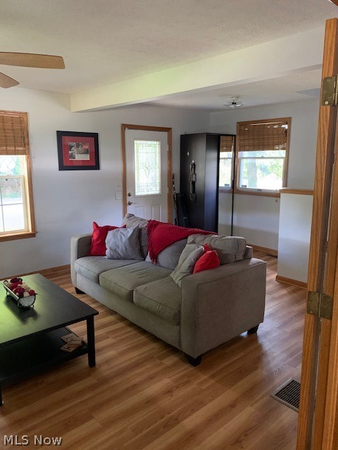 Evers Allotment - Residential