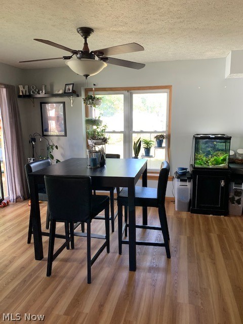 Evers Allotment - Residential