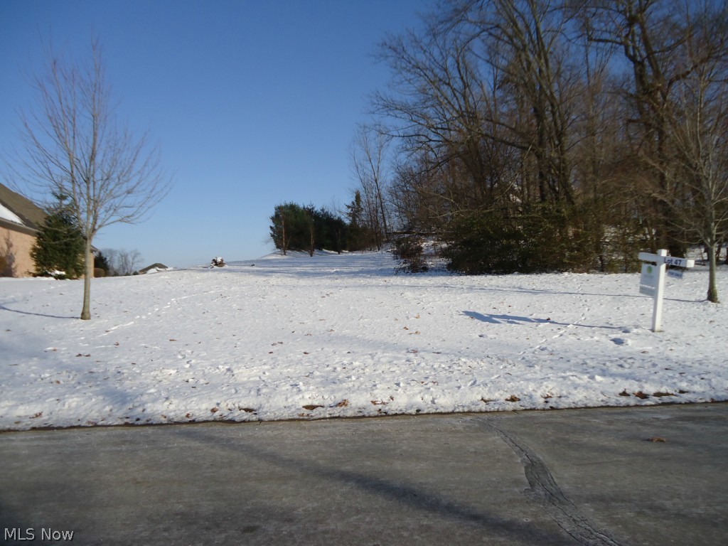 Wellington Hills - Land