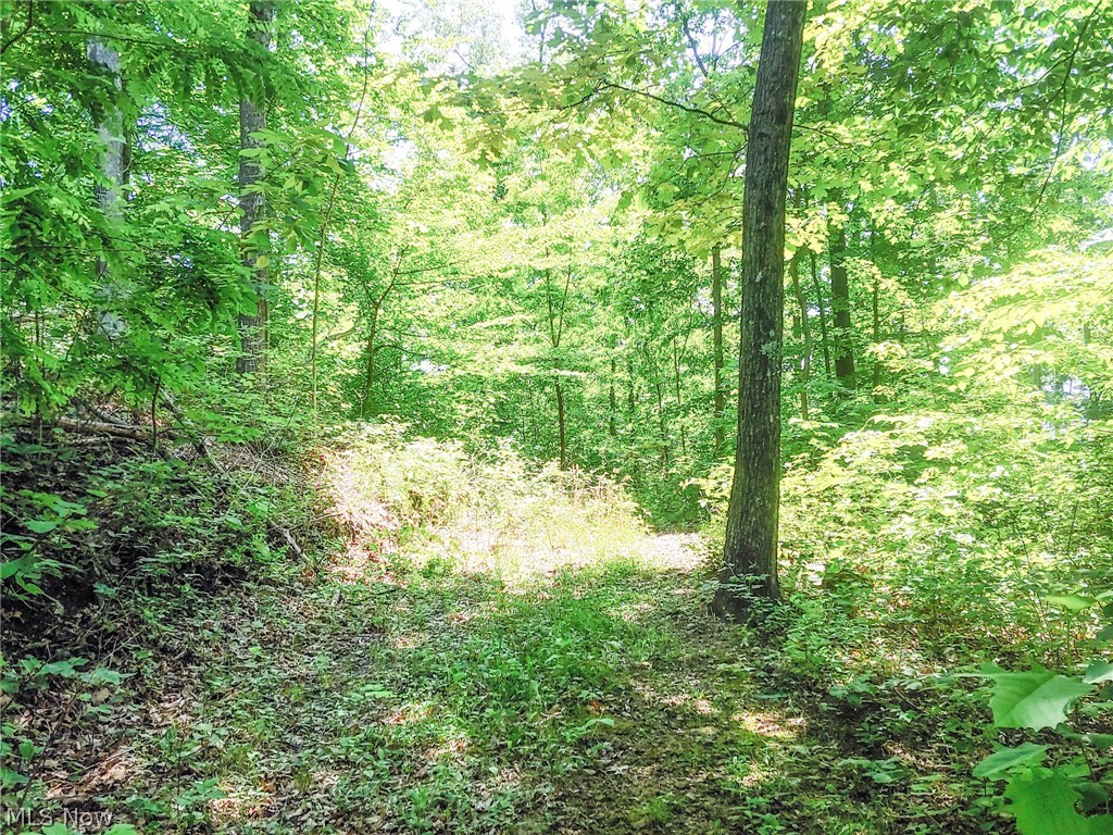 Lot 11 Moss Run Road, Marietta, Ohio image 7