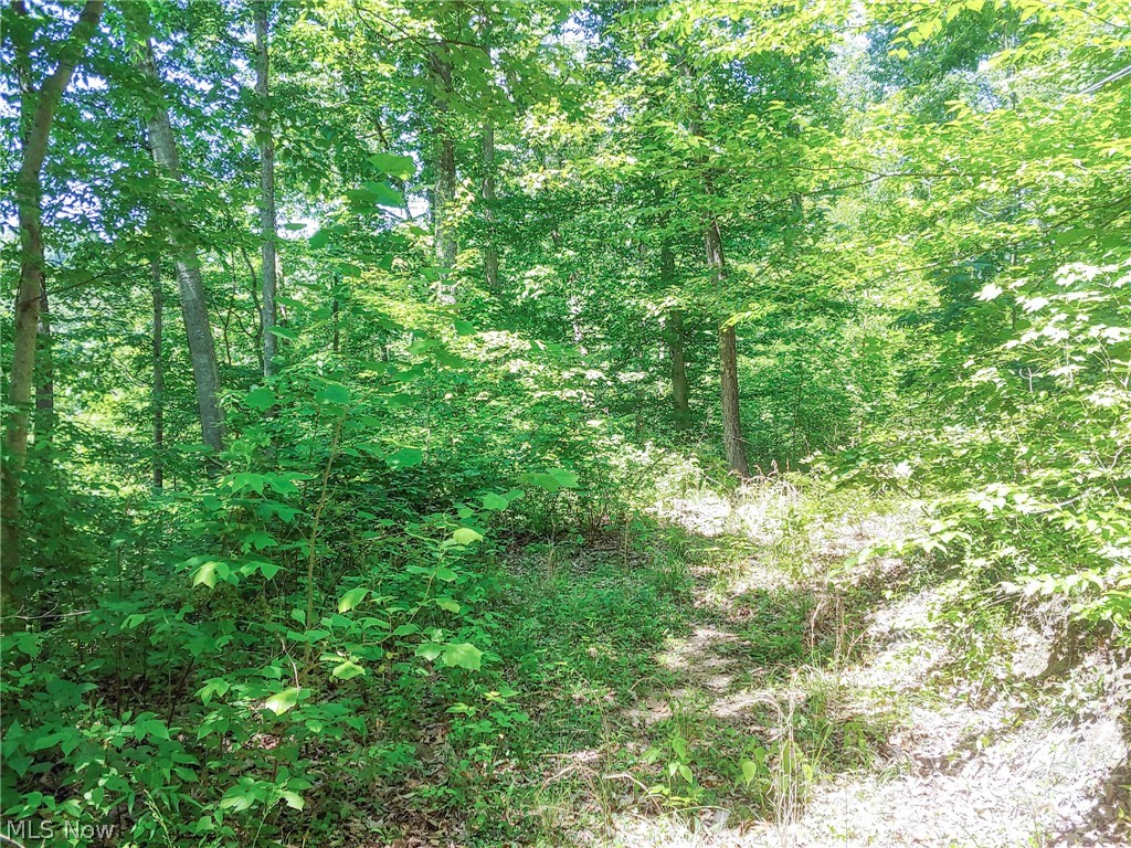 Lot 11 Moss Run Road, Marietta, Ohio image 5