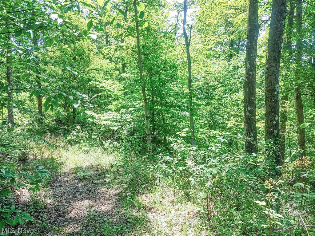 Lot 11 Moss Run Road, Marietta, Ohio image 9