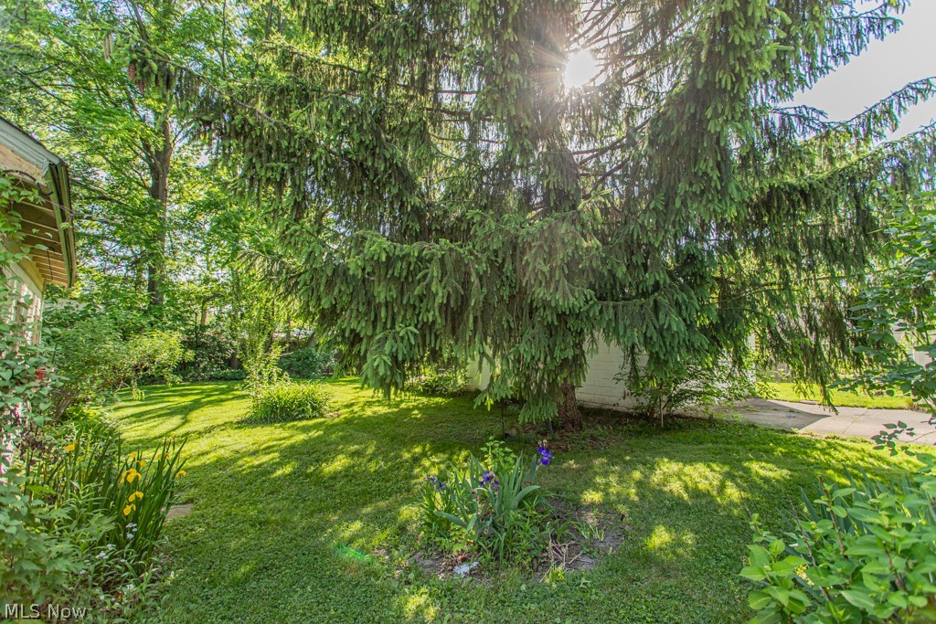 Bung Terr - Residential