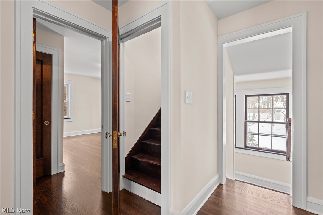 Rapid Transit - Residential