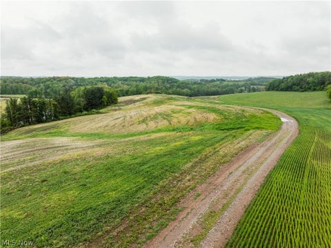 Vacant Land For Sale - 28425 Township Road 421<br/> Fresno, OH 43824