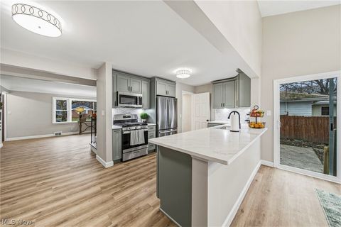 Tiny photo for 20211 Blackfoot Avenue, Euclid, OH 44117 (MLS # 5187878)