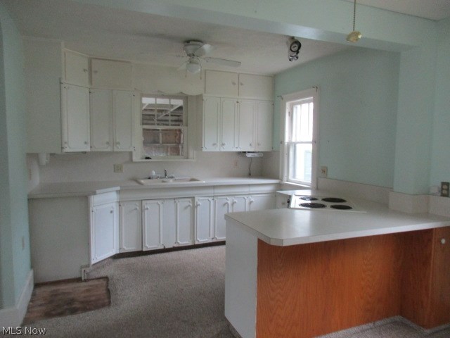 Dalton Village - Residential