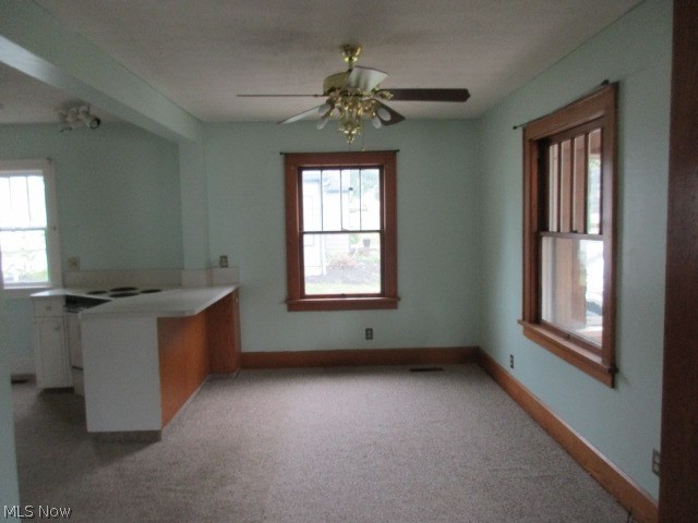 Dalton Village - Residential