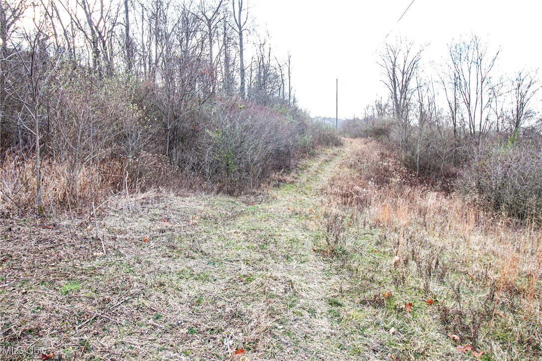 Tract 1 Whiskey Run Road, Quaker City, Ohio image 18