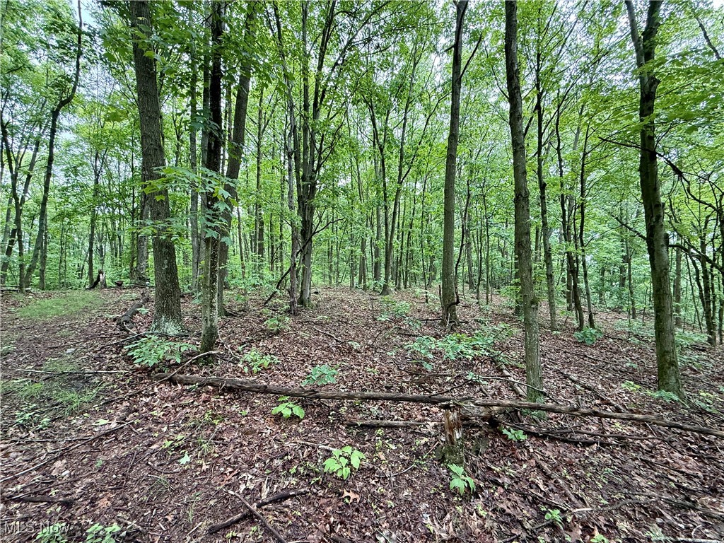 44312 Cream Ridge Road, Lisbon, Ohio image 47