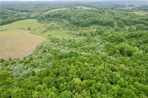 44312 Cream Ridge Road Lisbon OH 44432