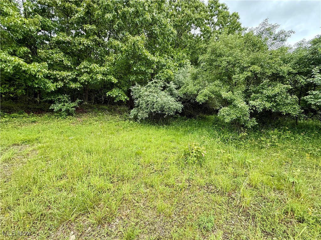 44312 Cream Ridge Road, Lisbon, Ohio image 4