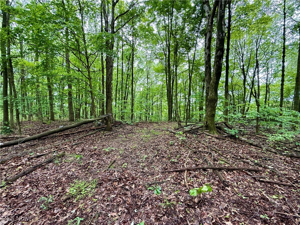 44312 Cream Ridge Road, Lisbon, Ohio image 45