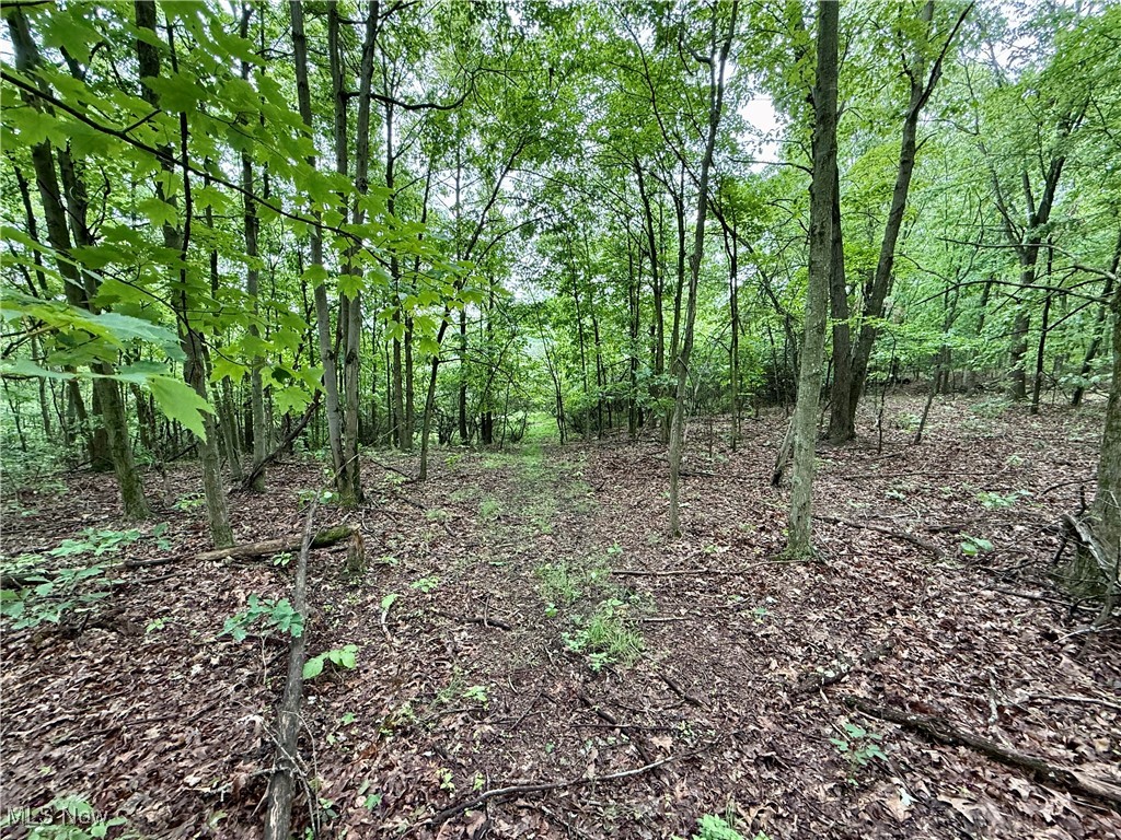 44312 Cream Ridge Road, Lisbon, Ohio image 3
