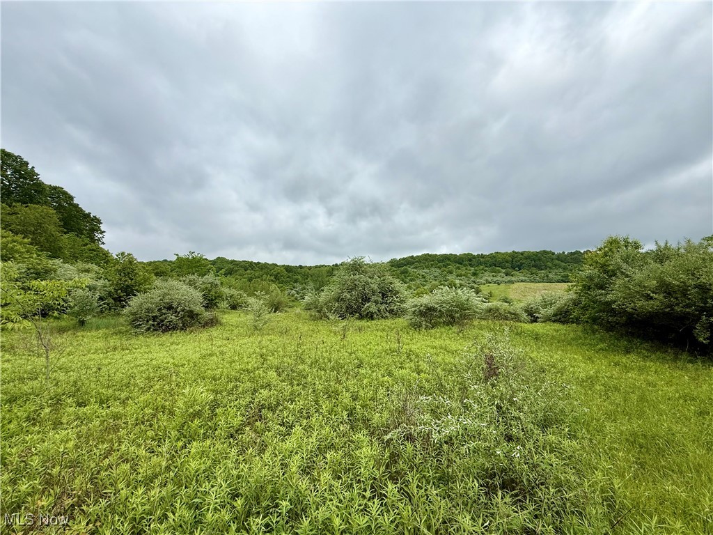 44312 Cream Ridge Road, Lisbon, Ohio image 17