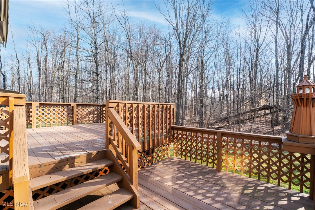 421 Hills Creek Road, Brookfield, Ohio image 37