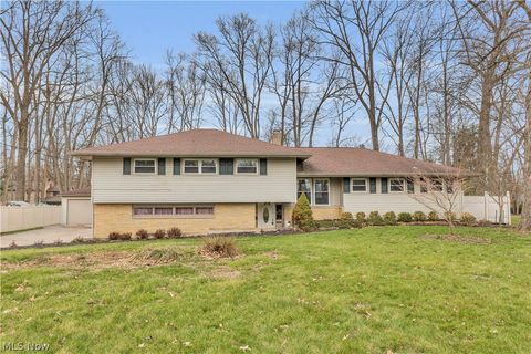 Homes For Sale - 6624 Ronjoy Place<br/> Youngstown, OH 44512