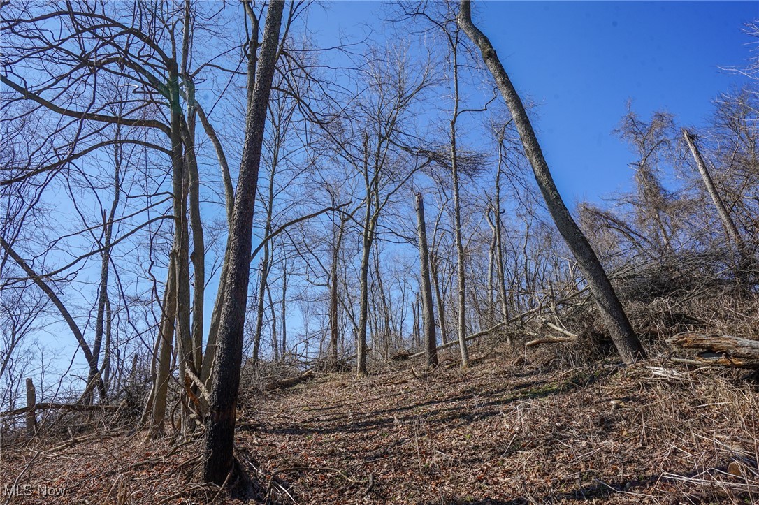 Cooks Hill Rd, Glenford, Ohio image 20