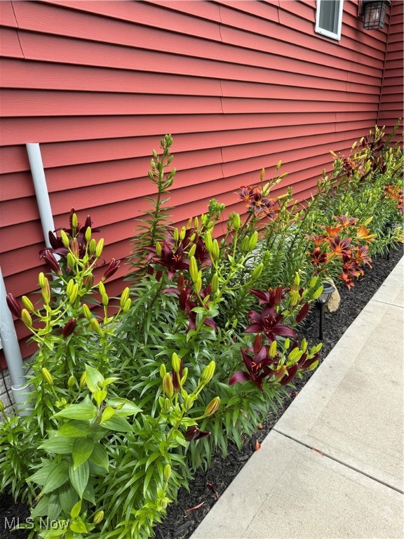 Tallmadge, Ohio 44278, United States, 3 Bedrooms Bedrooms, ,3 BathroomsBathrooms,Residential,Active,128681