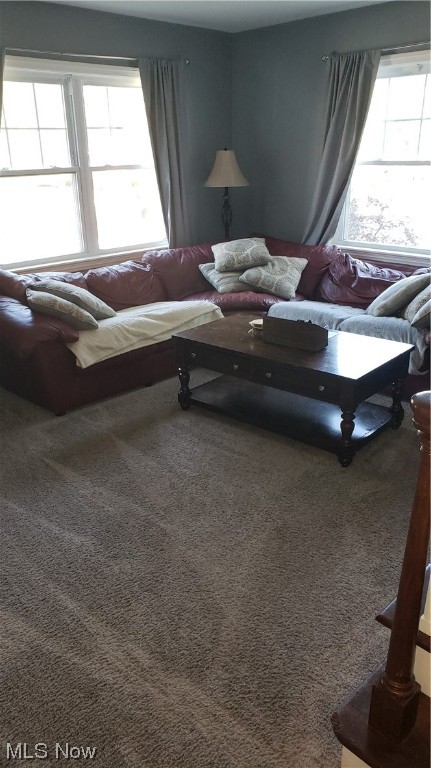 Firestone Park - Residential