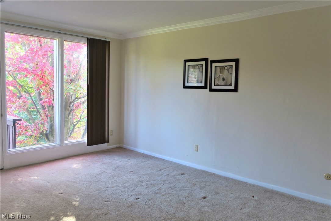 Greenwood Village Condo - Residential