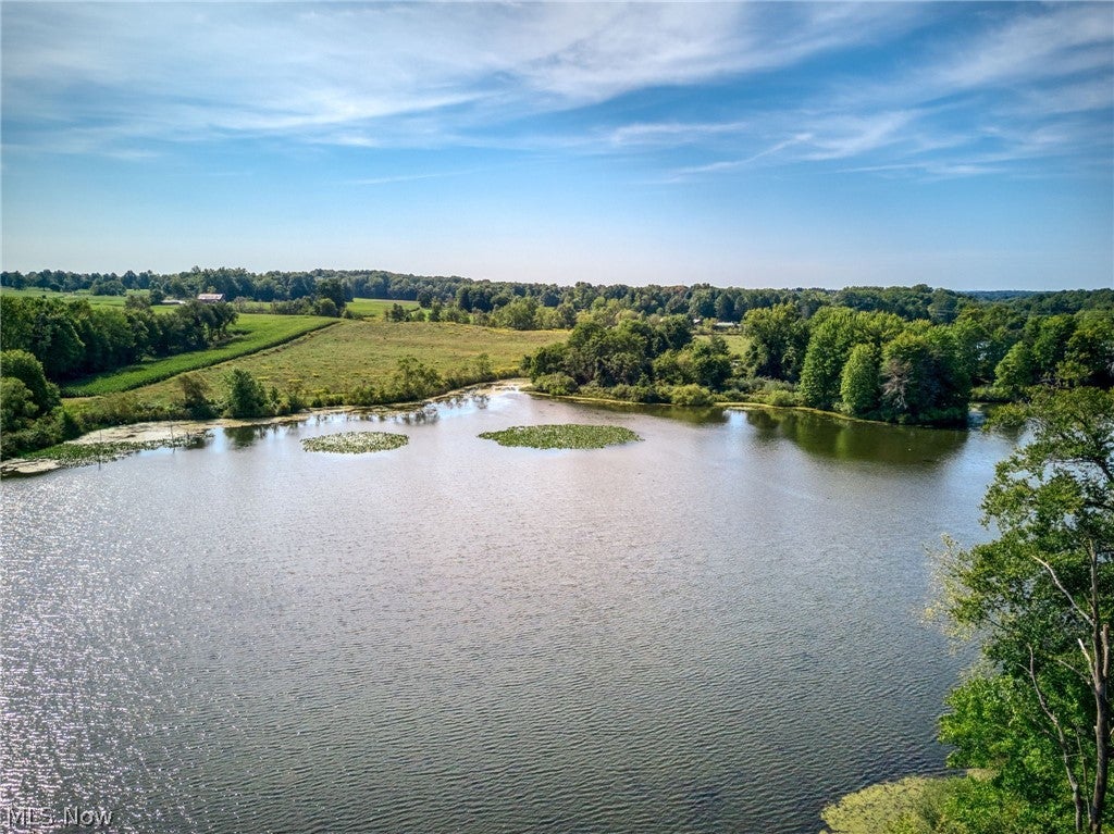 3365 Lake Rockwell Road
