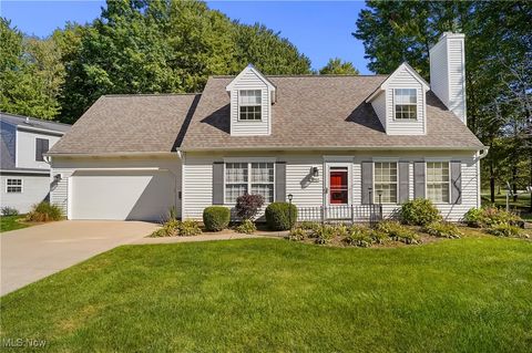 10502 White Ash Trail Twinsburg OH 44087