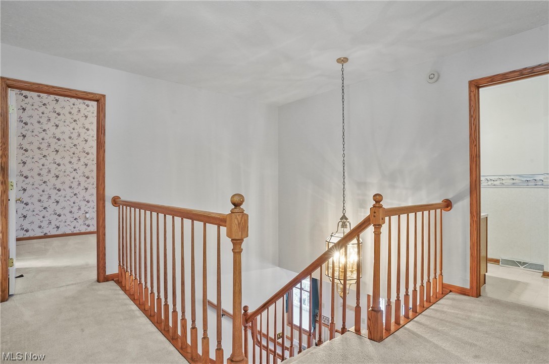 Steeplechase - Residential