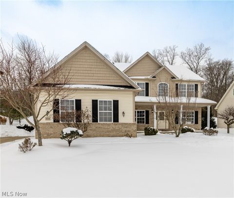 5532 Brook Run Drive Medina OH 44256