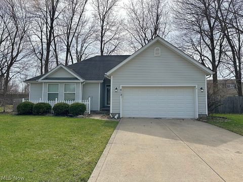 613 Ericston Court Painesville OH 44077