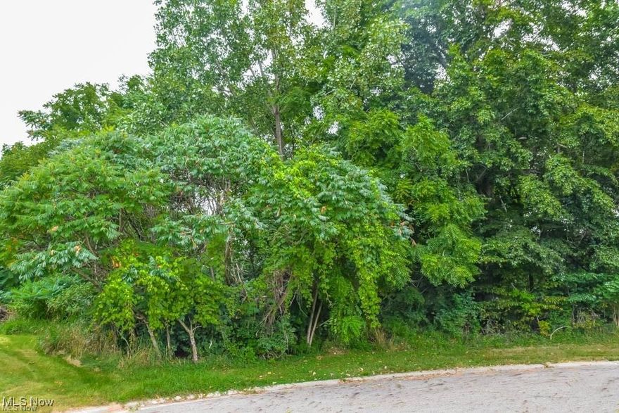 Build your dream home on .26 acres at the end of a cul de sac in Plain Local Schools! Adjacent parcel #0521810 also available for purchase.