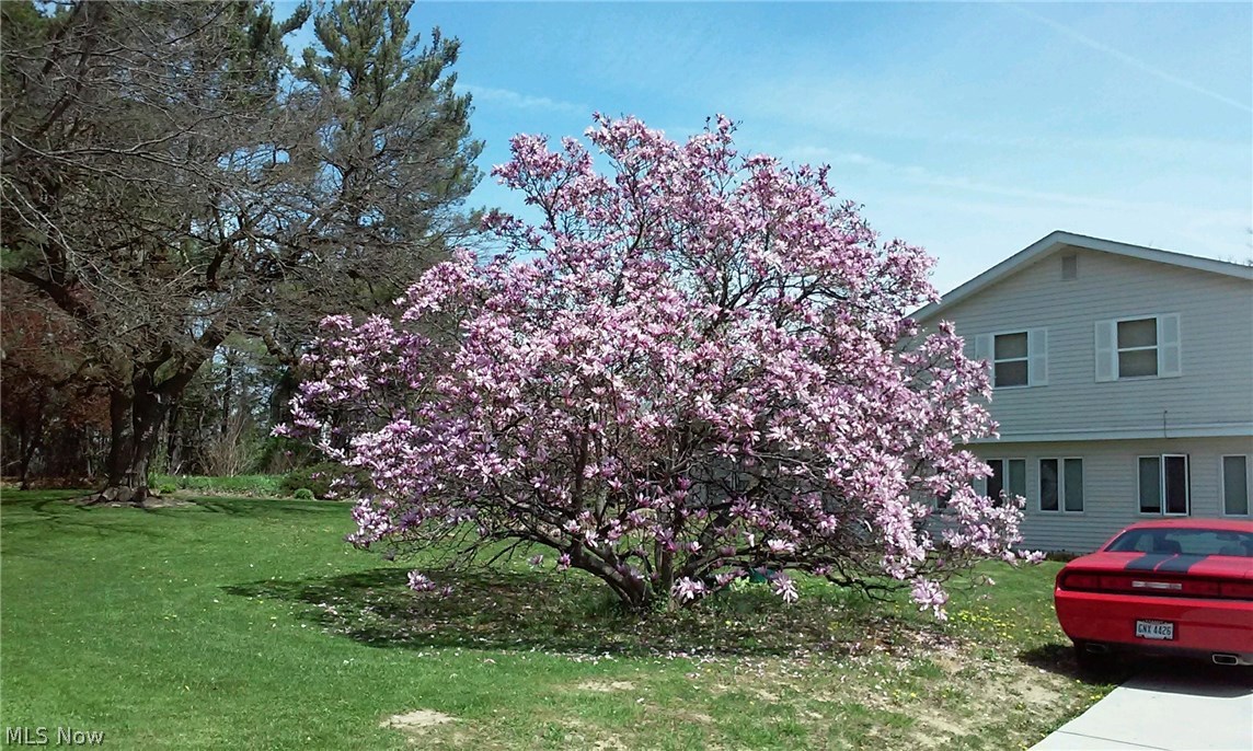 Russell Sec 12 01 - Residential