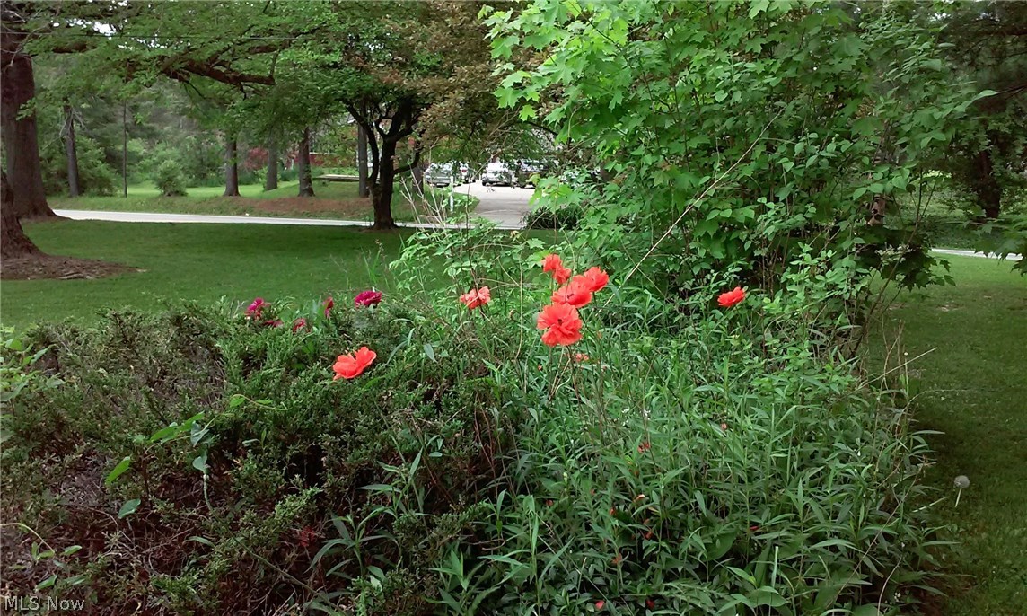 Russell Sec 12 01 - Residential