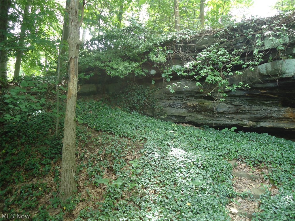 Cuyahoga Falls - Residential