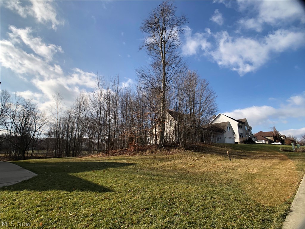 Incredibly Rare Opportunity! Available Lot in the popular and established Montville Farms neighborhood, only minutes from Medina's Historic Square. Bring your favorite Builder and start your Dream Home on this lot that could accommodate a Walk-Out Basement. This neighborhood is close to parks, walking trails, and schools! Builder Recommendations and Concepts available! The minimum sqft requirement is 2250. However, this lot could accommodate a walk-out basement and the sqft could be fulfilled by 1500 sqft up and 750 sqft in the basement as an example. The setback is 50 ft and the sides are 10 ft.