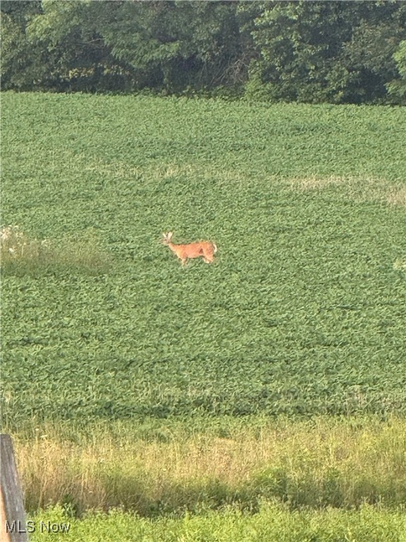 East Rochester, Ohio 44625, United States, 4 Bedrooms Bedrooms, ,2 BathroomsBathrooms,Residential,Active,169842