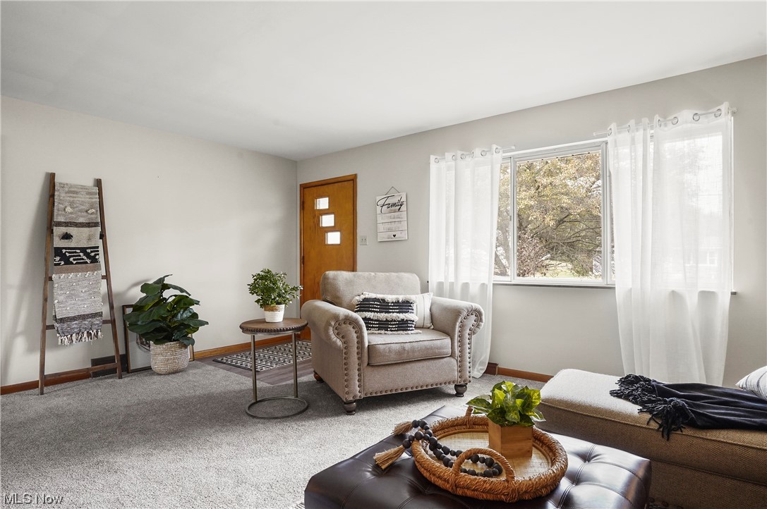 Mirror Lake - Residential