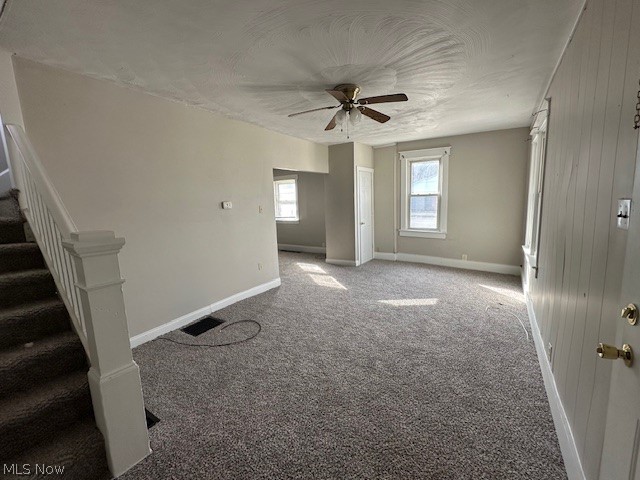 358 Brighton Boulevard