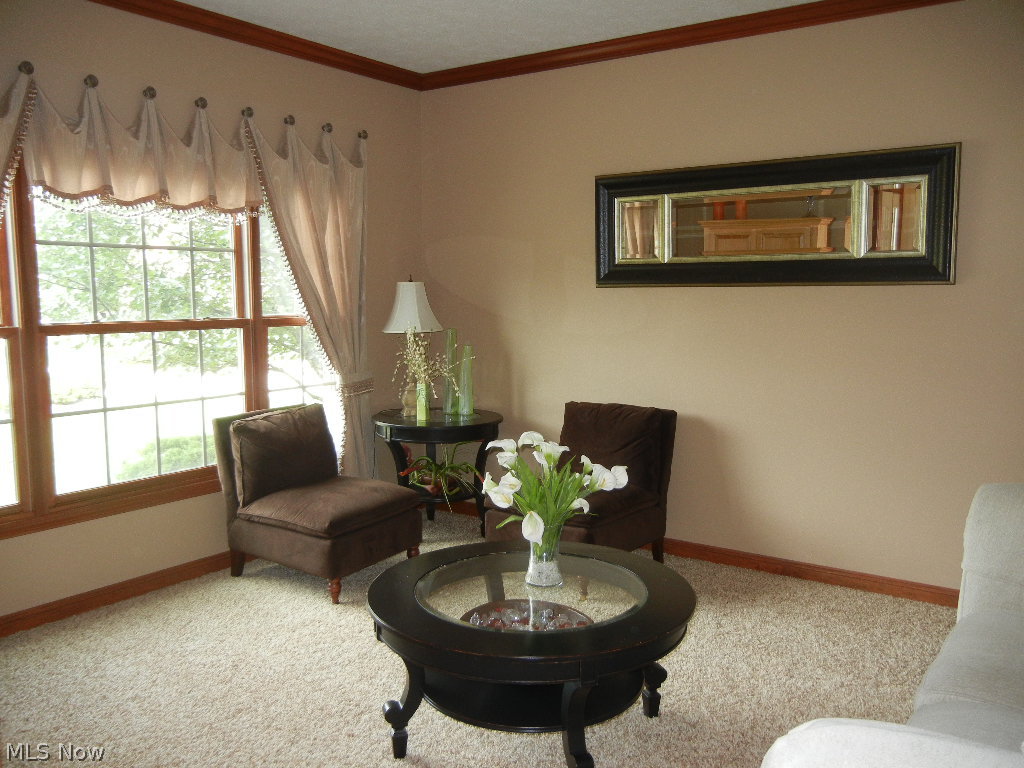 Chestnut Woods Sec 03 - Residential