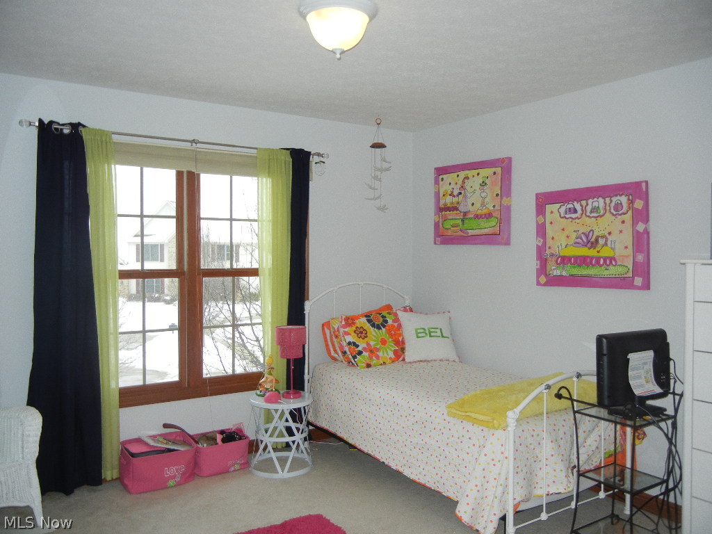 Chestnut Woods Sec 03 - Residential